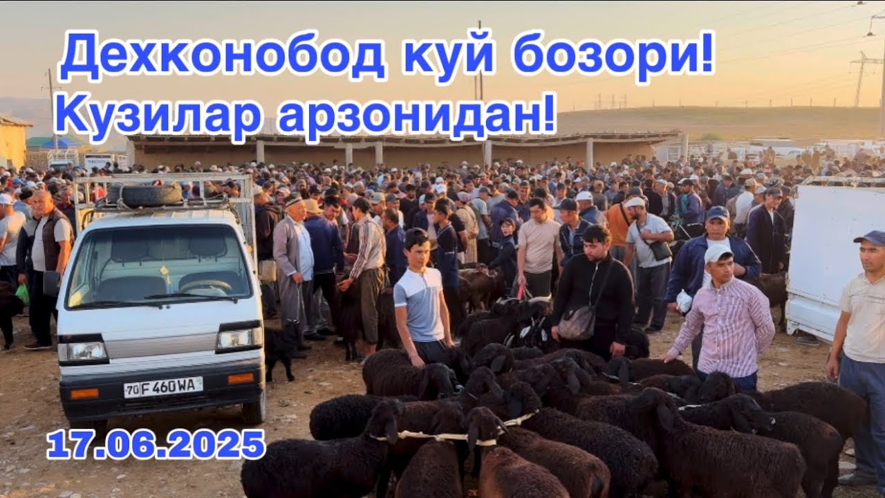 Дехконобод куй бозори 17.06.2025