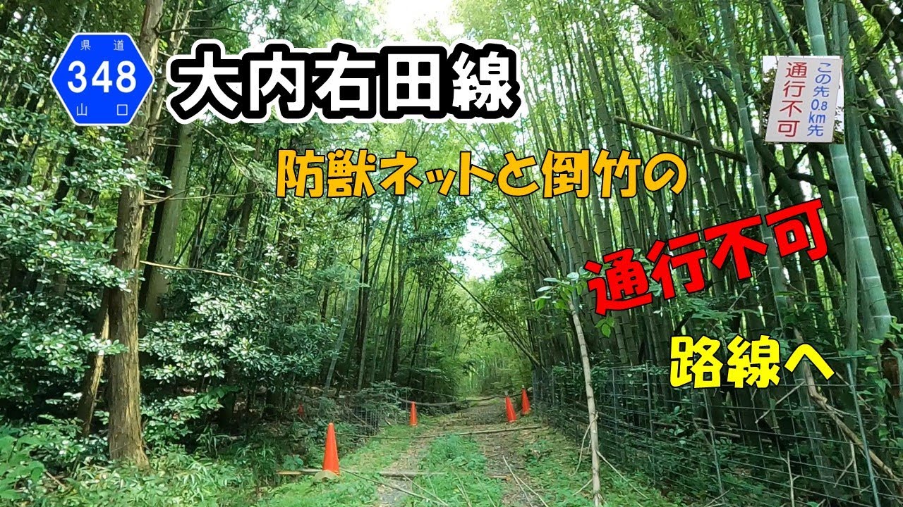 【山口県道348号】 大内右田線　市境付近通行不能区間あり
