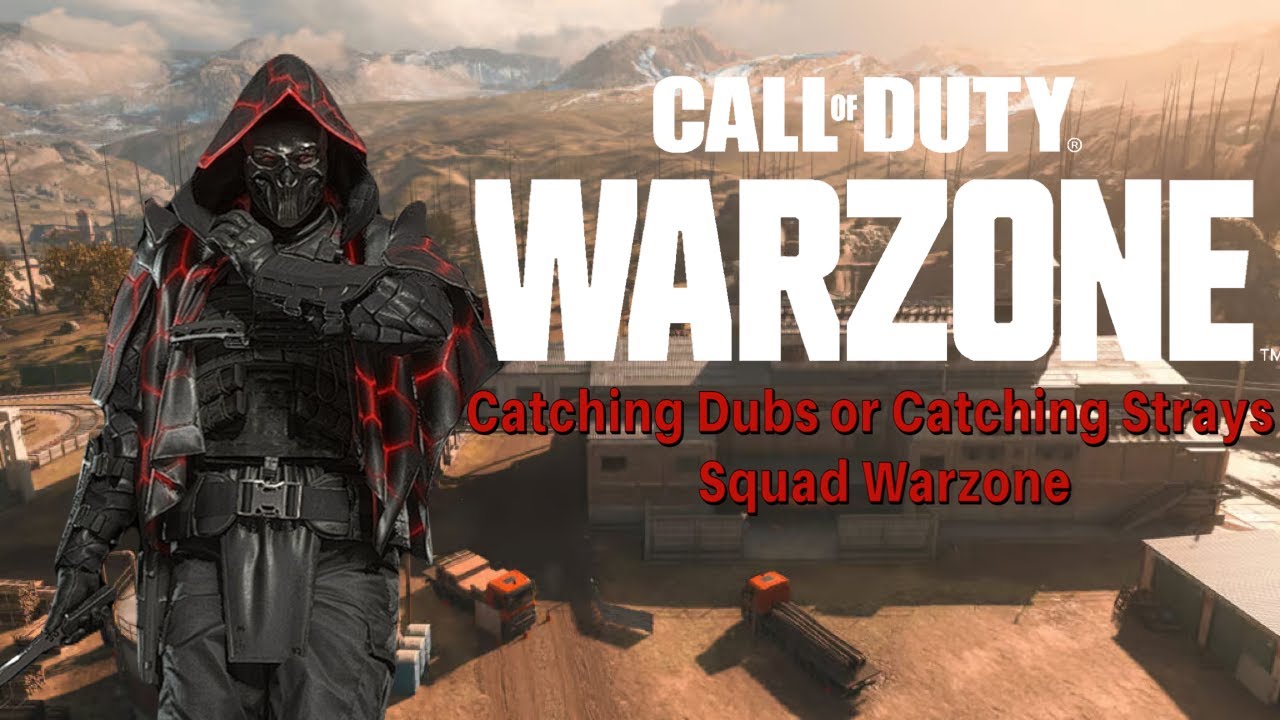 Catching Dubs or Catching Strays | Squad Warzone