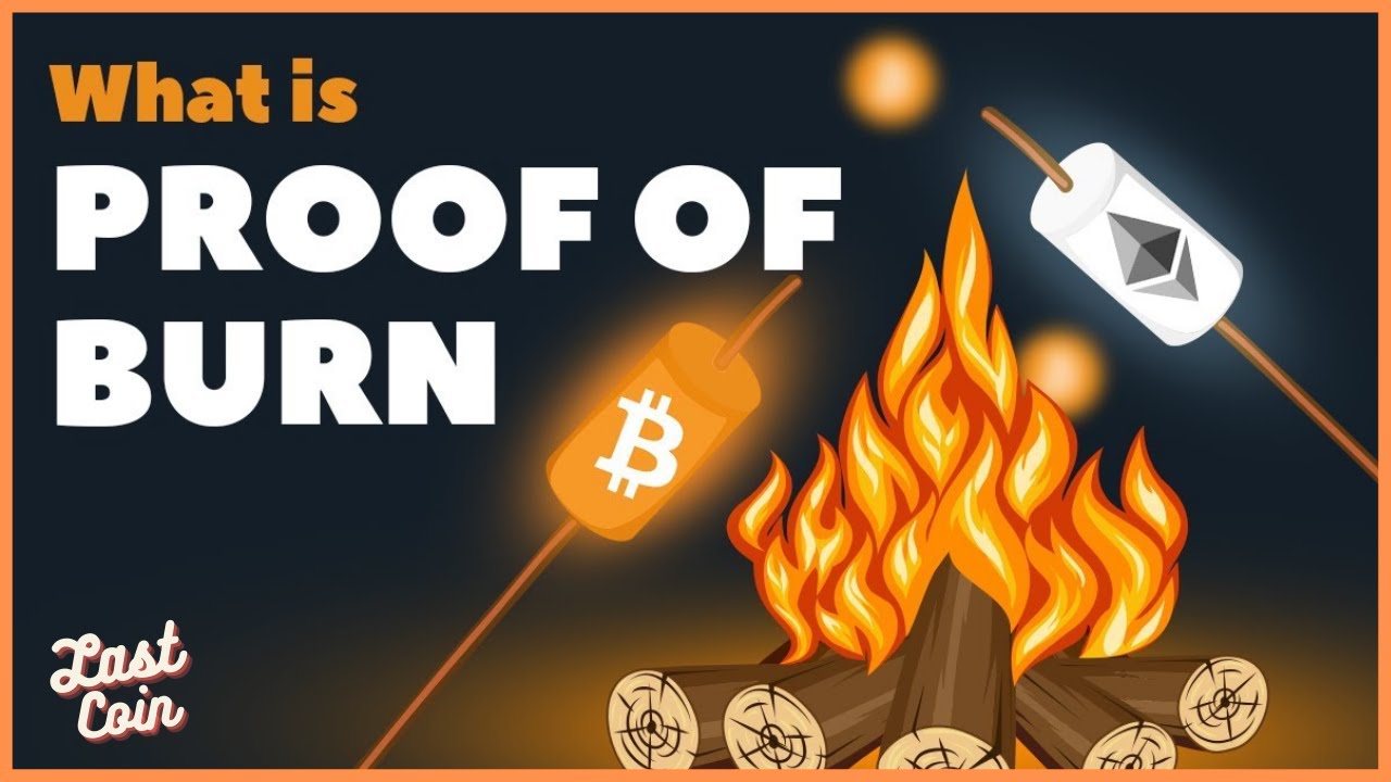 What is Proof of Burn in Crypto? POB | Crypto