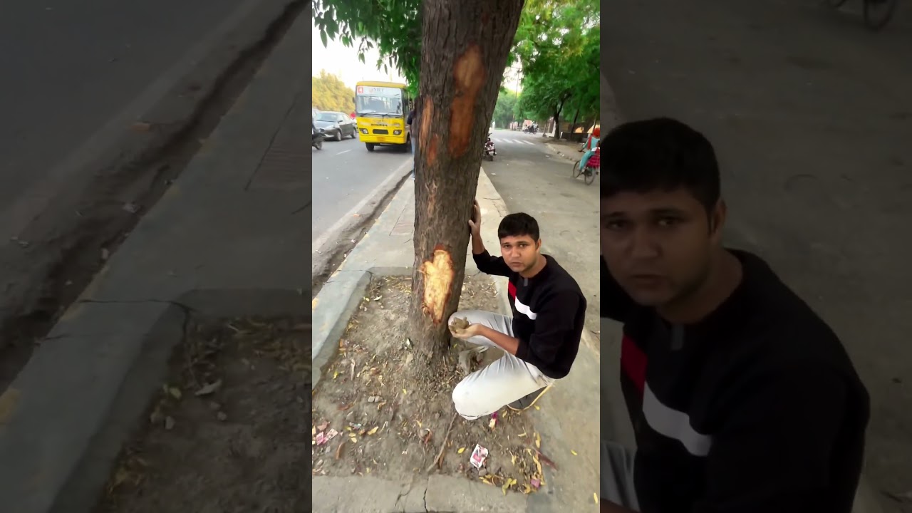 ￼￼Save Biggest Neem Tree 🌳 in ￼India ||  #SaveneemTree￼ ￼