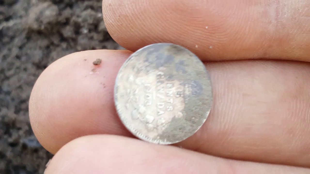 SMALL SILVERS AND OLD BIG COPPERS IN A HUNTED OUT PARK - WITH EQUINOX 800 AND 600