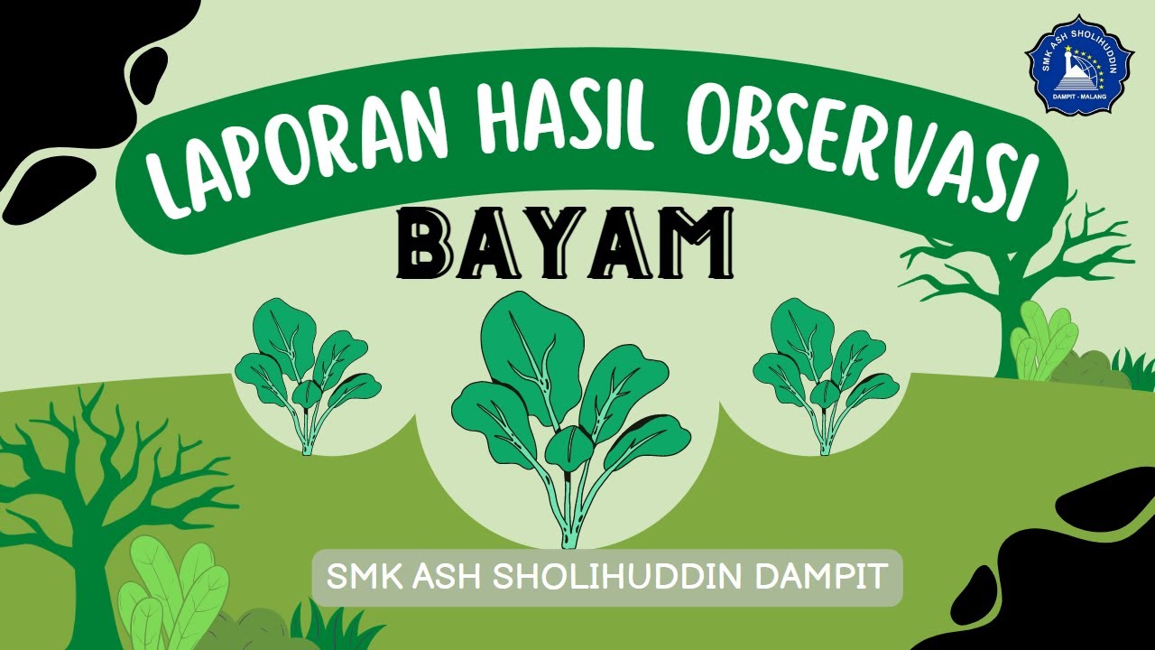 Video Laporan Hasil Observasi Bayam SMK Ash Sholihuddin Dampit
