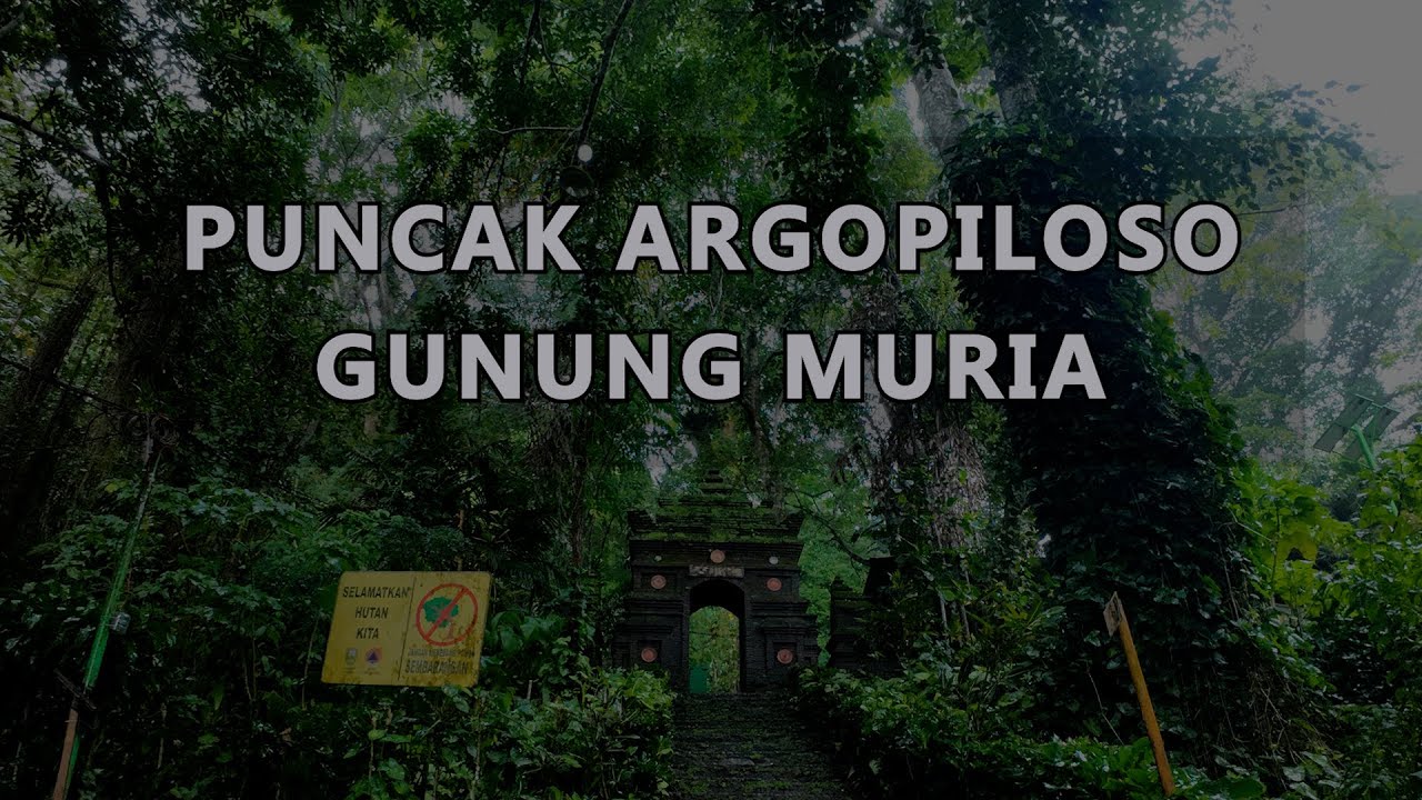 Solo Hiking Gunung Muria - Puncak Argopiloso - Agar Aman Mendaki Sampe Puncak (Full Nanjak)