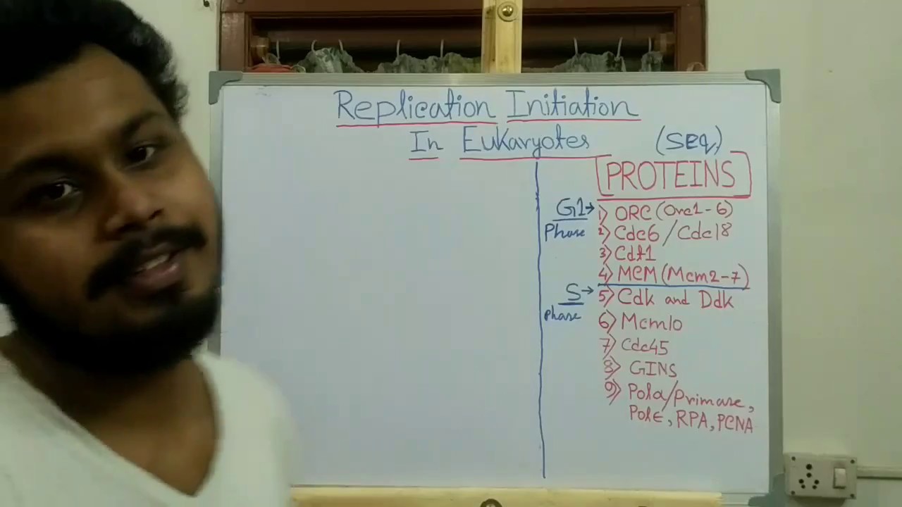 DNA Replication initiation in eukaryotes | pre replication complex (pre-RC)