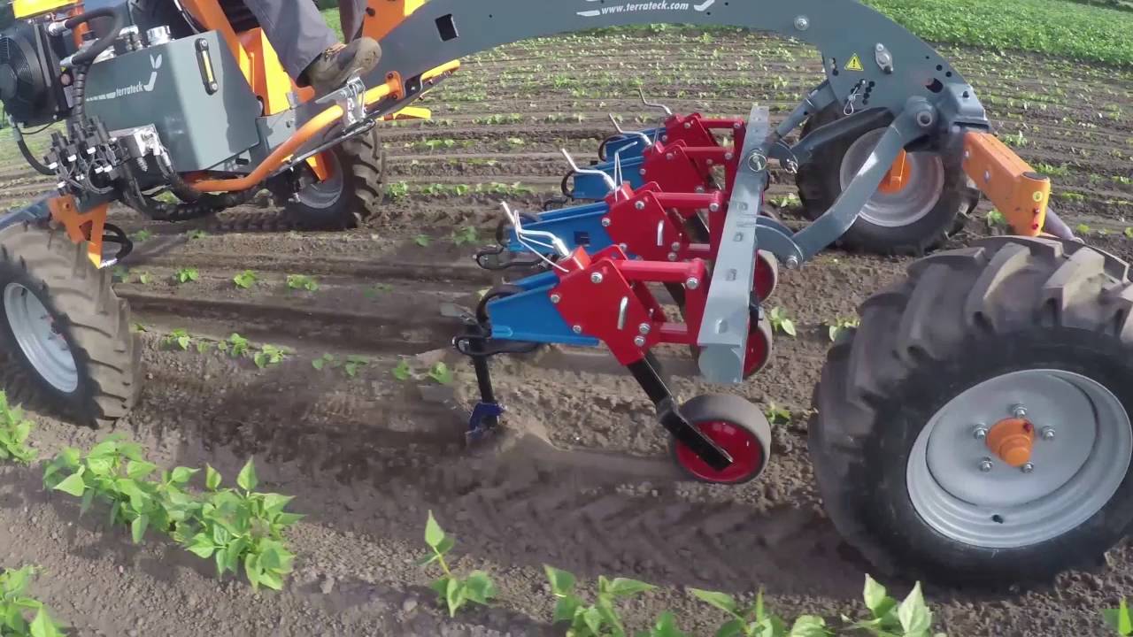 Terrateck - Binage / Buttage de pr&eacute;cision sur haricots verts avec porte outils Cultitrack