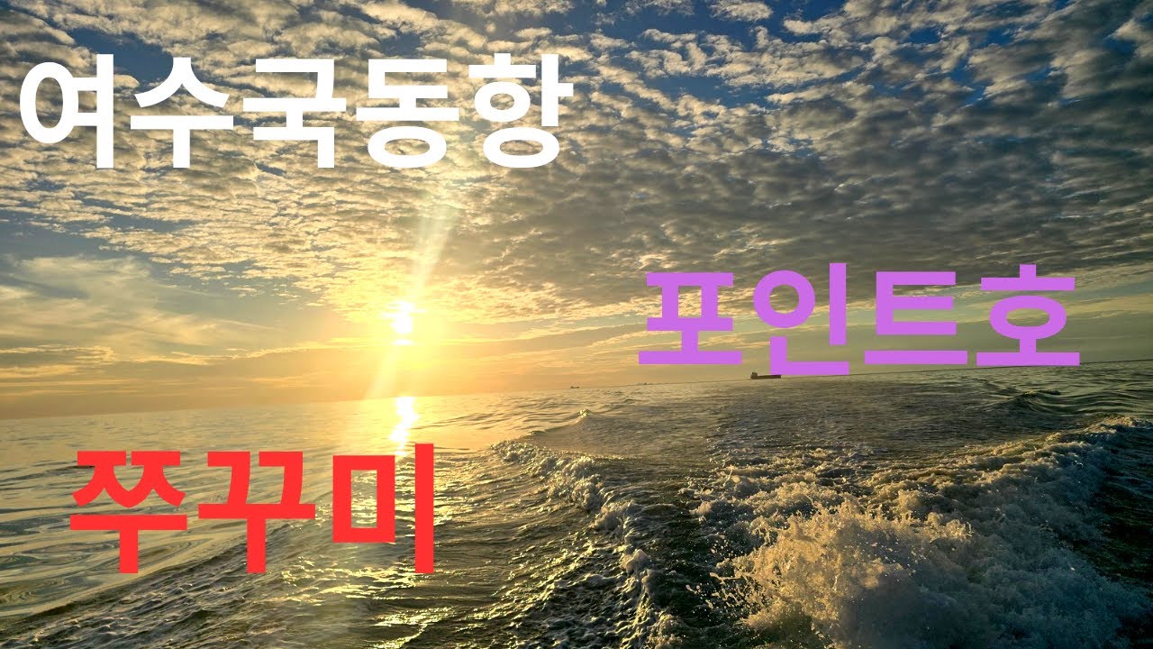 1월26일 16항차   알~쭈꾸미  #해이리&때루#안선장애기#포인트호#쭈꾸미
