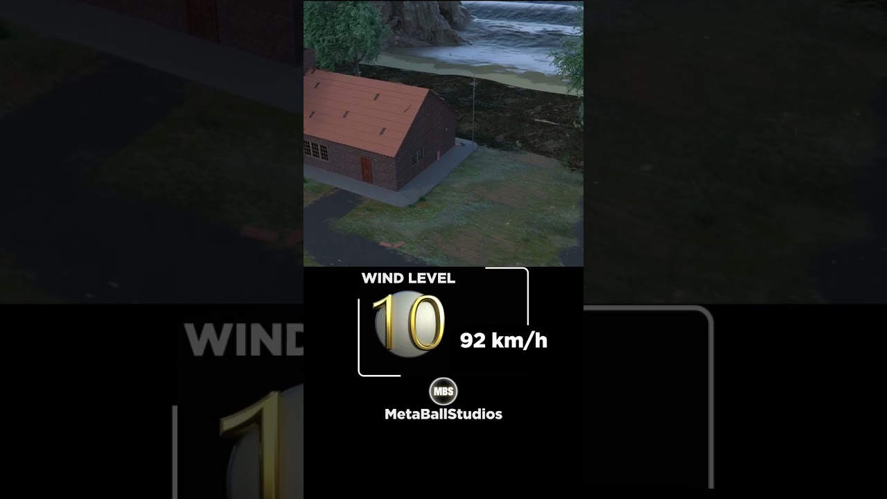 🍃Wind and Hurricane Comparison! 🤯💨