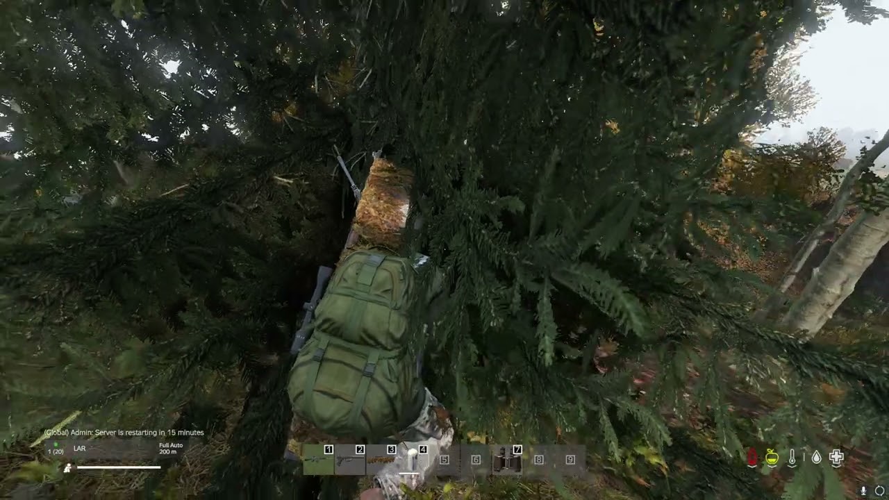 HIDE ON BUSH VISITS VANILLA DAYZ SERVER