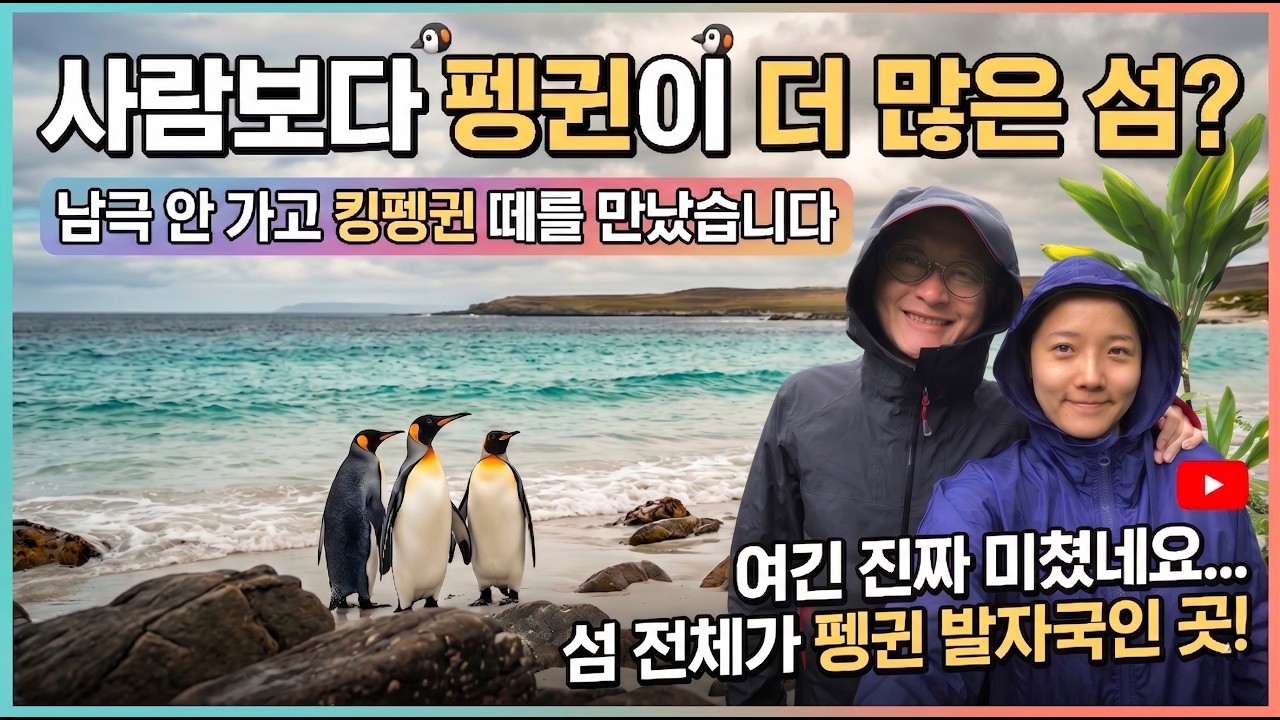 6년 만에 다시 만난 킹펭귄 | 남극해 포클랜드 기항기 | 남미 일주 크루즈 [12]
