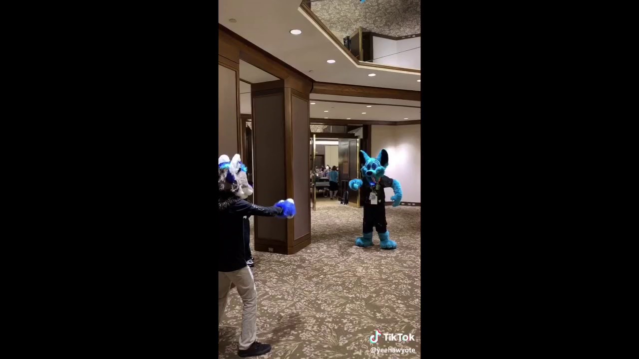 Furry Tik Tok Compilation #3