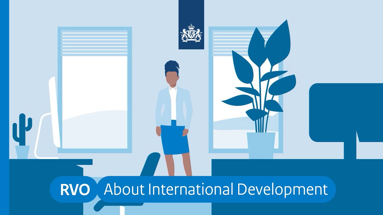 International Cooperation - How can RVO help you?