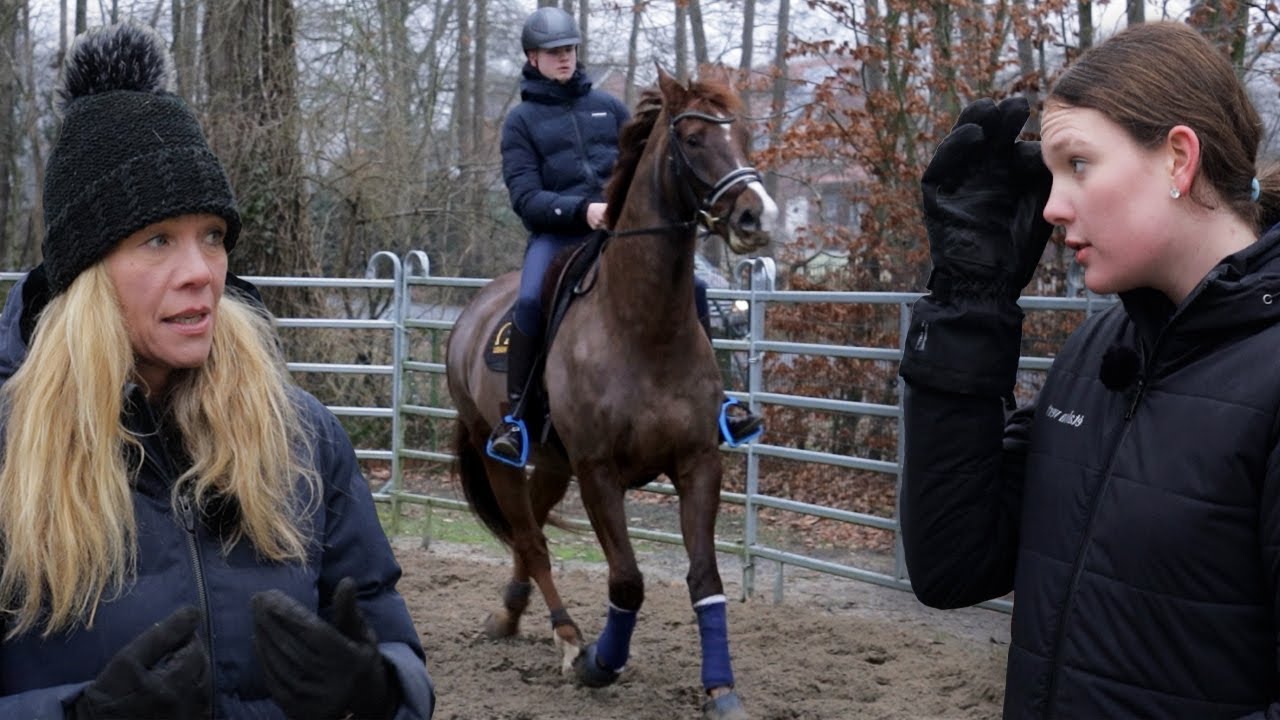 Riskanter Fremdreitertest im Roundpen – Trainerin muss ausgetauscht werden | reiten lernen