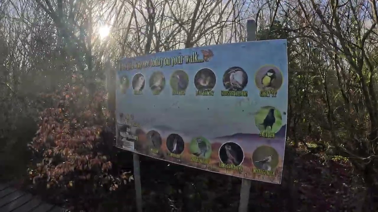 Fenor Bog Walk
