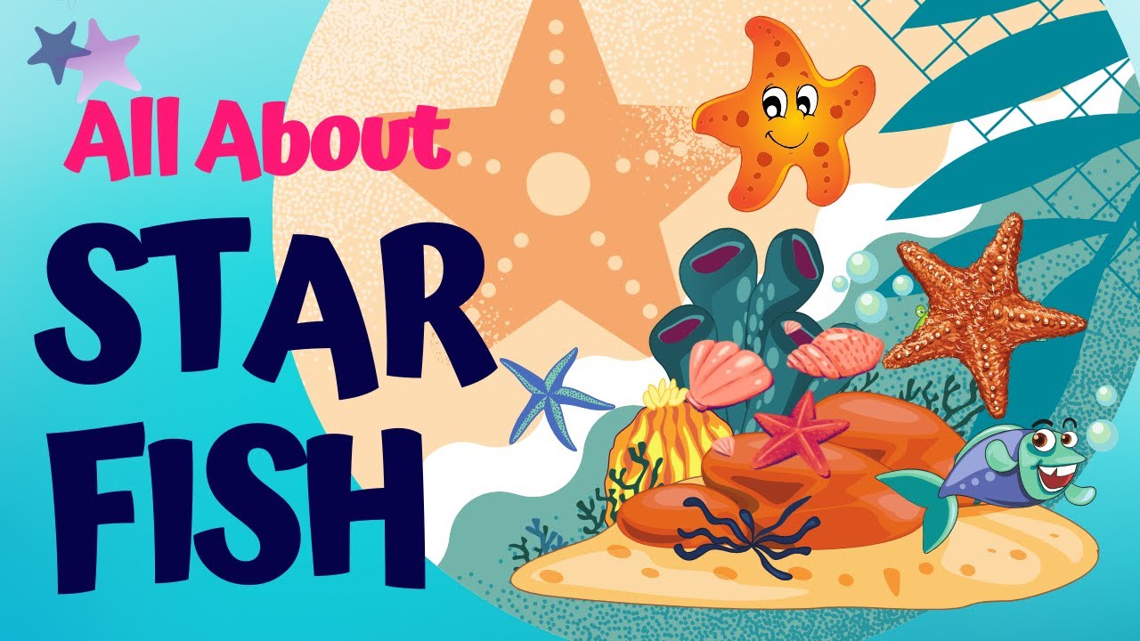 Starfish Survival: No Brain, No Blood, No Problem!!