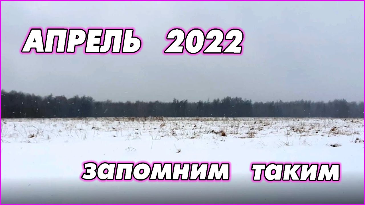 Была весна, пришла зима. Подготовка к апрельским заморозкам