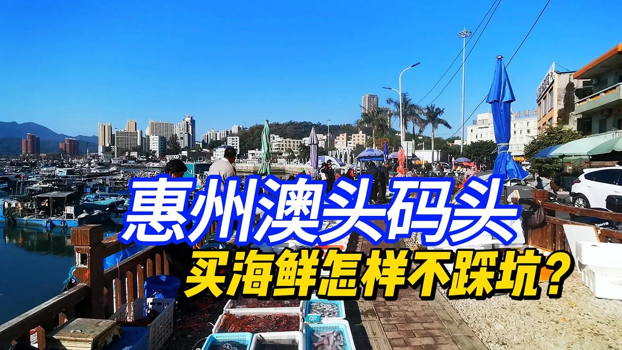 广东惠州澳头渔港吃海鲜：真便宜还是假货多？海虾15元2盆靠谱吗？