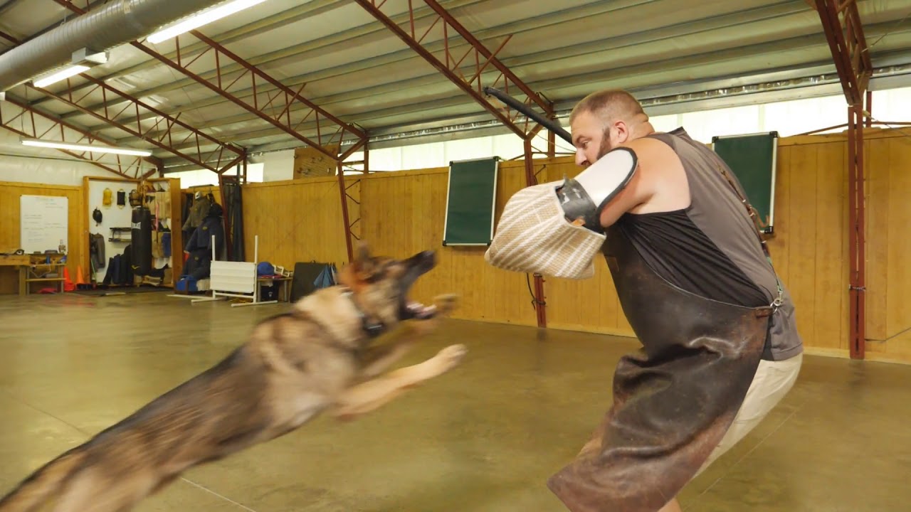 Gusto von Prufenpuden Moving Very Slow & Scary!