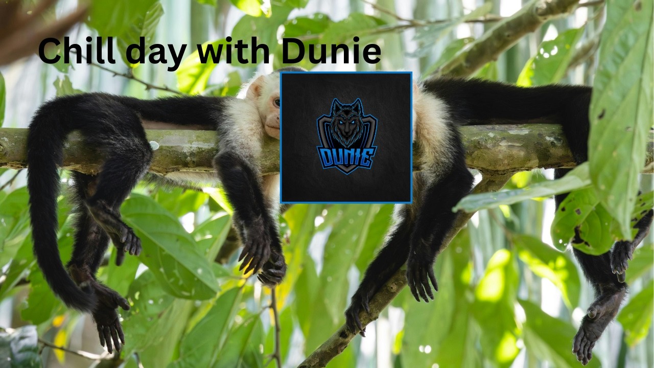 Monday Monkeying Around | League or DayZ | Road to Partner