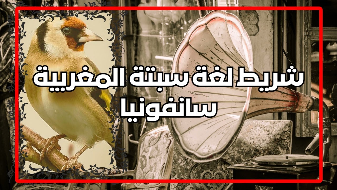 شريط تغريد سبتة نمط قديم مغربي  ( سانفونيا )