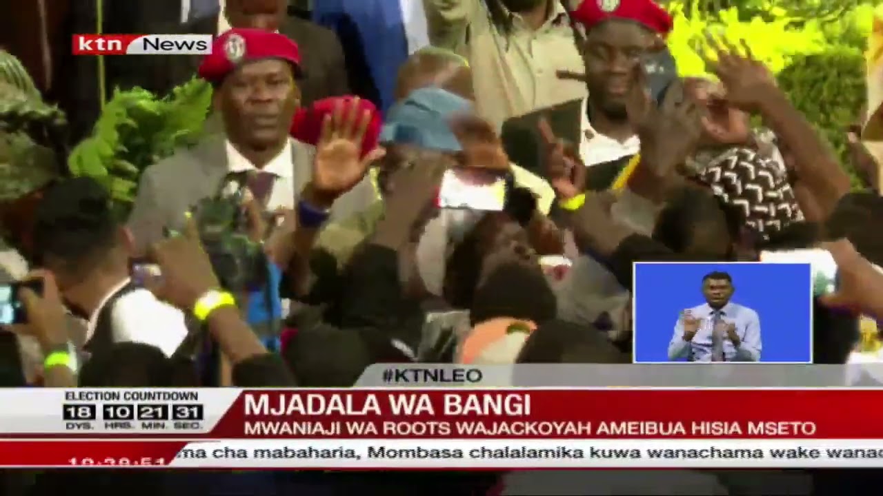 Mjadala wa bangi: Ni kwa kiwango kipi pendekezo la Wajackoya kuhusu bangi linaweza kutekelezwa