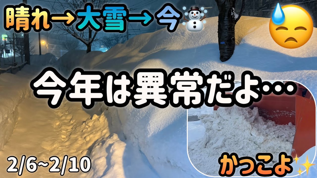 大雪は本当だった…異常な天候だよ…😫とショベルがかっこよかった！