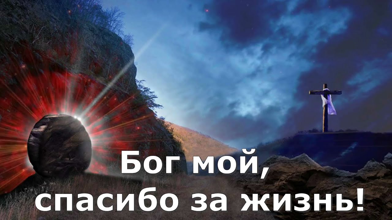 Бог мой, спасибо за жизнь#христианскиепесни