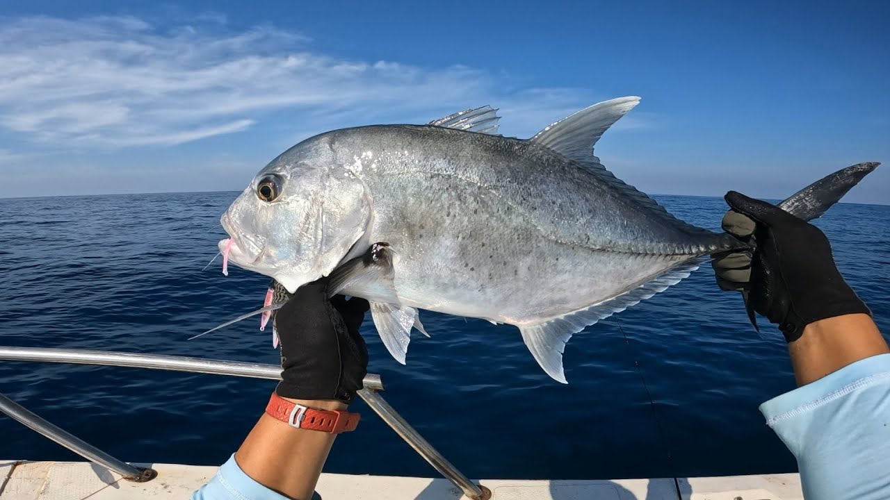 FULL STRIKE !! Nekat bawa UL Tengah Laut, Gak dikasi pulang Sambaran Ikan Semakin Ganas