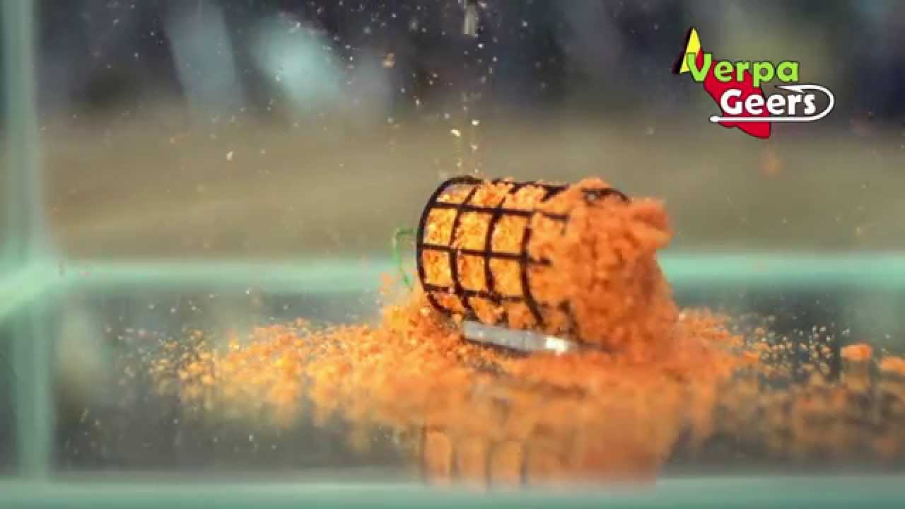 Verpa - Fruit de mer: Orange