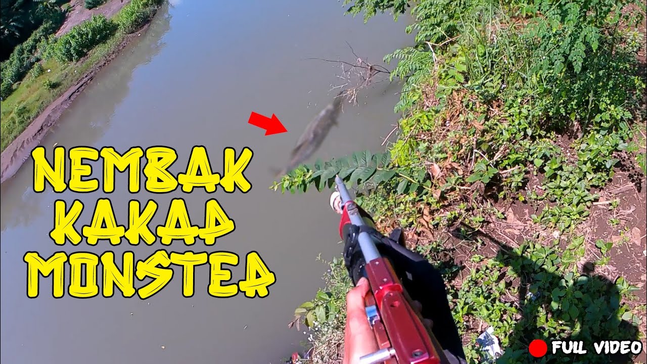MELEDAK‼️ AKHIRNYA KAKAP MONSTER&nbsp; MUNCUL DISINI ❌ PASER MANIA ❗❗❗