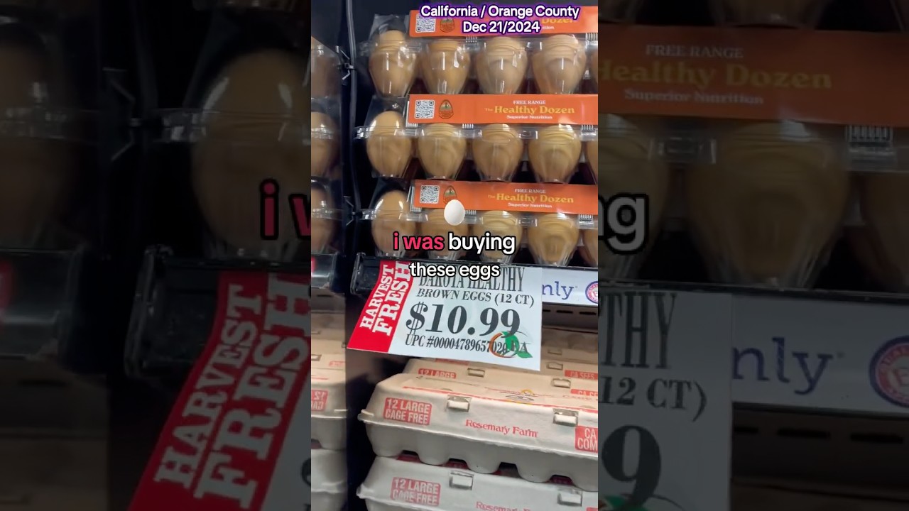 Egg Prices Are Rising in USA 🥚 🍳 🪺😱