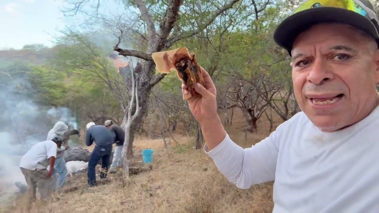 castrando una colmena de miel silvestre que bonita es la vida en el campo