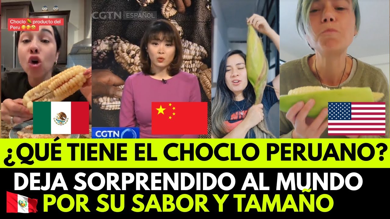 ¡ELOGIAN LA TIERRA PERUANA que PRODUCE LOS CHOCLOS MÁS GRANDES DEL MUNDO!