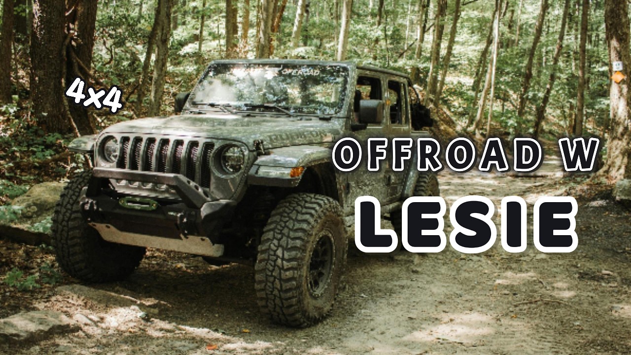 4x4 po lesie