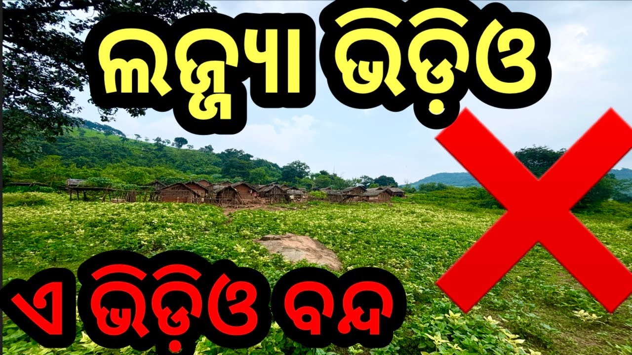 ମିଛ ଭିଡ଼ିଓ ଲଜ୍ଜ୍ୟା❗️ଅଭଦ୍ର କିଏ❗️#triballife #Charigarhvlogs #odiavideo #travelfood #odisha 
