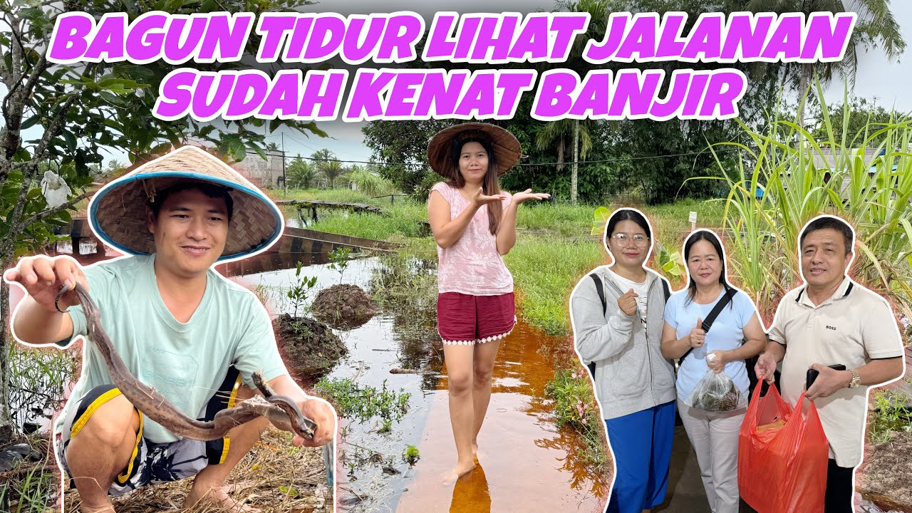 ANGKAT BUBU DAPAT ULAR YANG TIDAK BIASA, LANJUT ANTAR PESANAN KUE DOKO-DOKO
