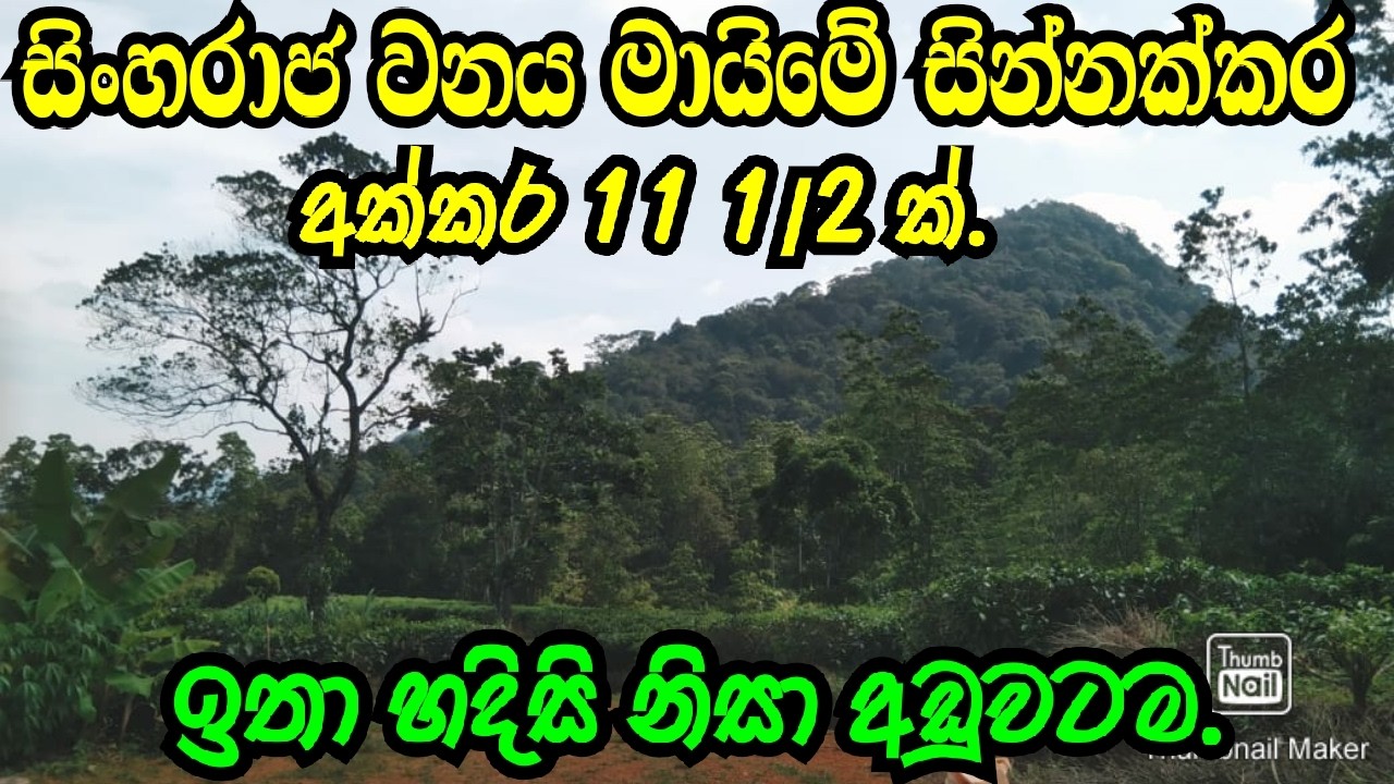 SINNAKKARA AKKARARA 11 1/2 K SINHARAJA WANAYA MAYMEN ADUWATAMA.SINHARAJA FORAST/RATHNAPURA LAND.