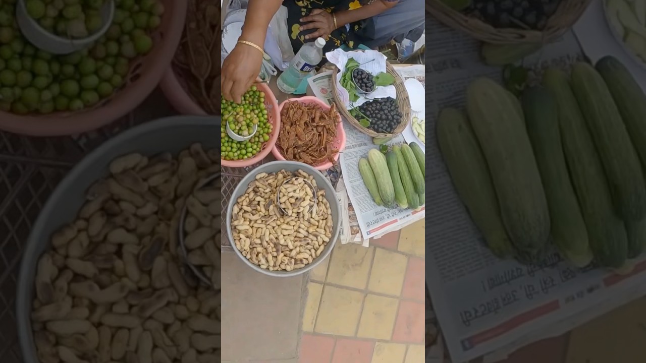 Alibaug Beach 🏖️ Alibaug local food #travel #shortvideo #youtubeshorts #alibaug #snacks