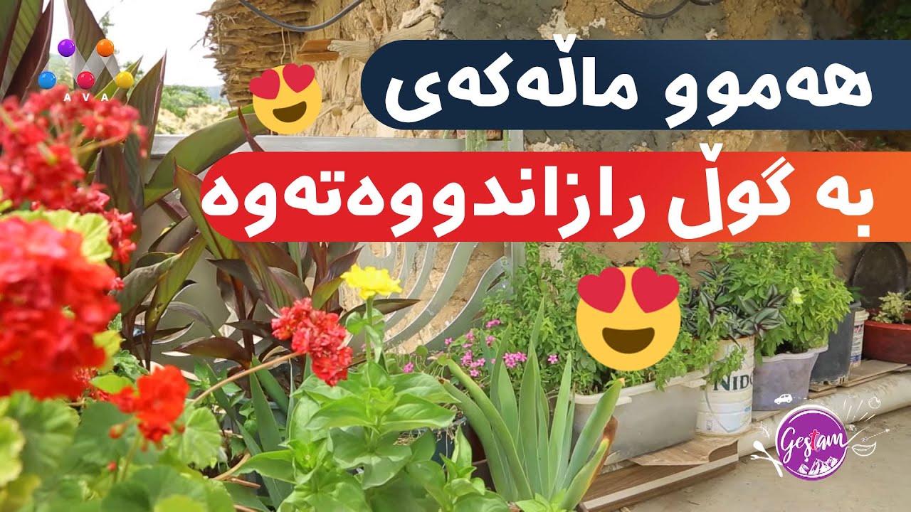 هەموو ماڵەکەی لە گوند بە گوڵ رازاندووەتەوە 😍