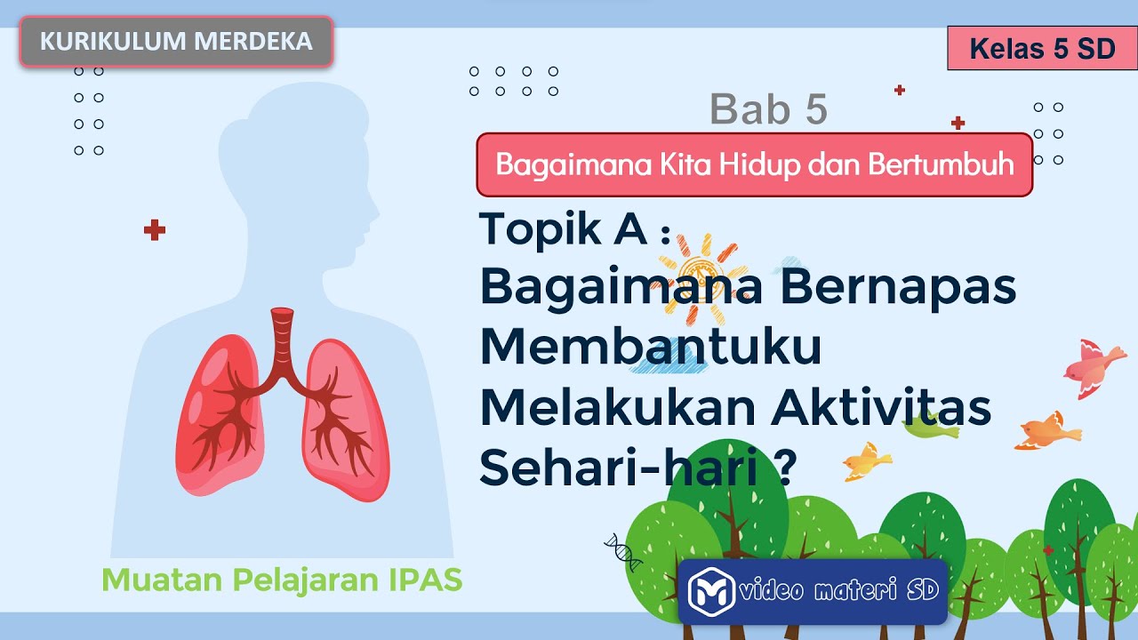 TOPIK A : SISTEM PERNAPASAN PADA MANUSIA | BAB 5 | KELAS 5 SD | MUATAN IPAS | KURMER | SEMESTER 2