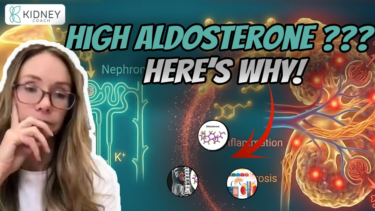 Symptoms & Causes of High Aldosterone | Kidney Stress