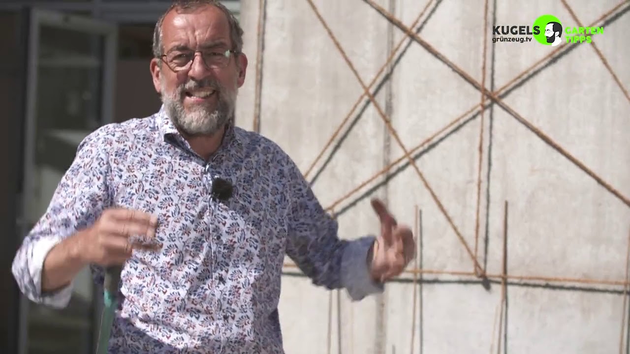 Frischer gehts nicht: Kr&auml;uter und Gem&uuml;se selber anbauen, auch auf Terrasse oder Balkon!
