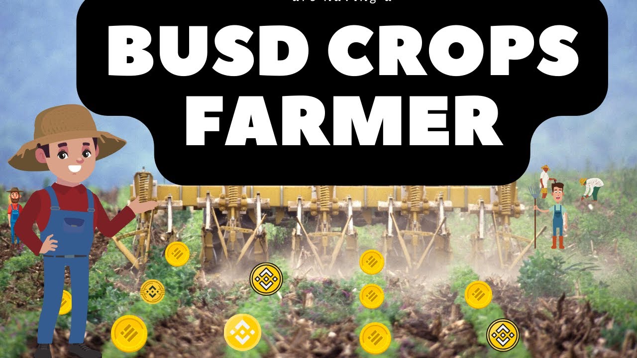 BUSD CROPS FARMER INVESTING FOR BEGINNERS 2022