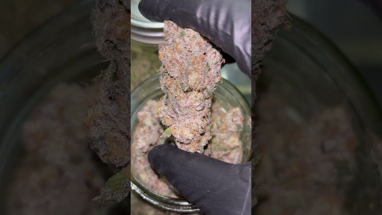 Stupid Heat⛽️🔥 Huge Bong Rip! Best bong out there💯💨💨 Big Smoke! #420 #smoke #bong #sesh