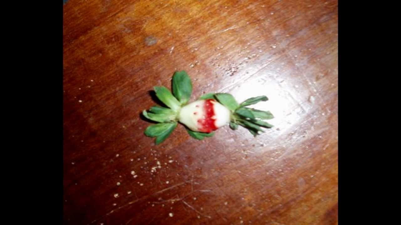 Full Cream - Pottery