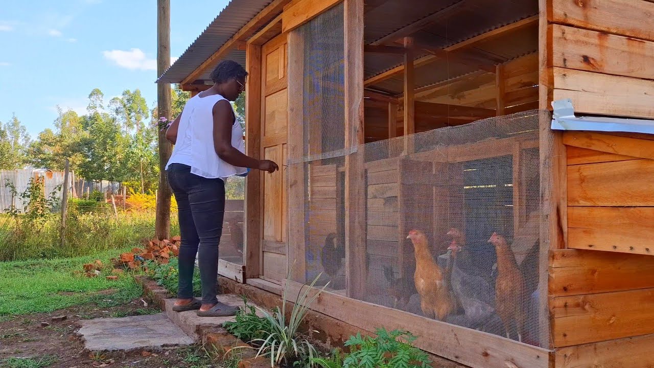 Quiet morning in my garden|Caring for chicken|Planting onions and carrots|Life in the countryside 