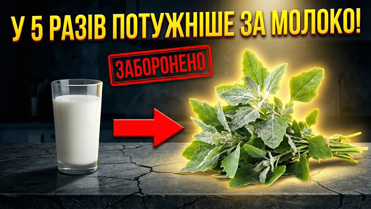 У 5 РАЗІВ більше кальцію за МОЛОКО! Чому цю рослину ЗАБОРОНИЛИ?