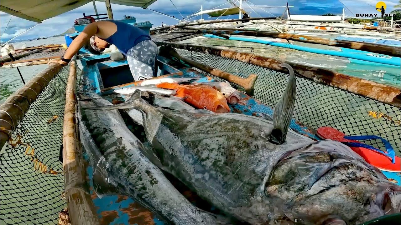 SWERTE! ang lalaki MAMSA AT BARRACUDA | kitang d' lubid/Longline finishing