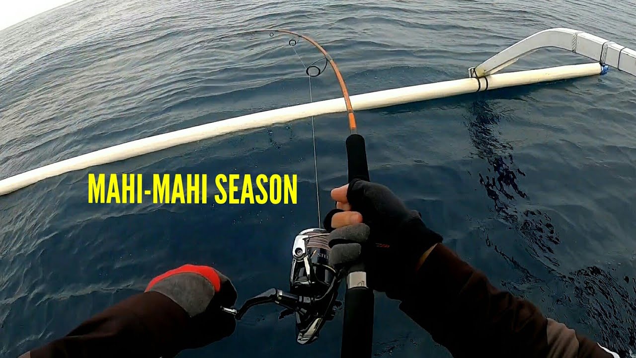 MAHI-MAHI SEASON | FISHING IN LOVINA, NORTH BALI | Vlog 34