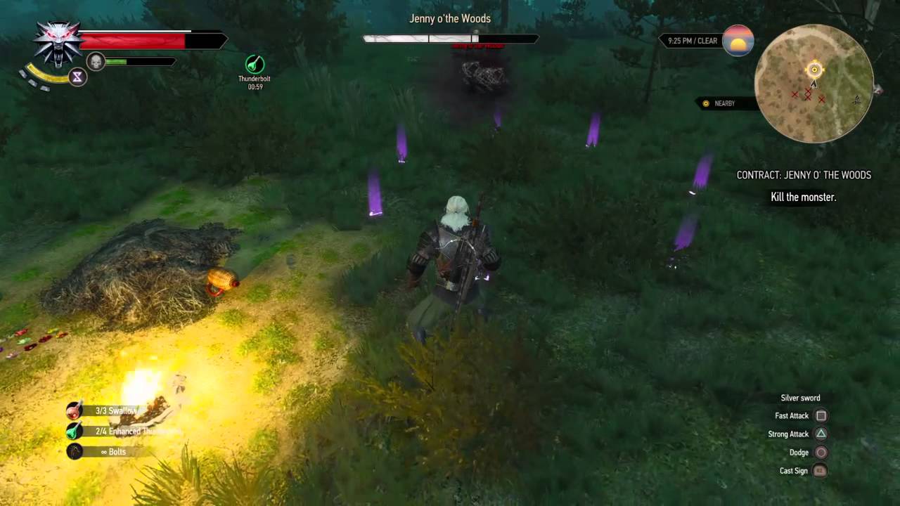 Jenny O the Woods The Witcher 3